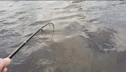 Patriot Pike Specialist Hyrräkelavapa Baitcasthengel 2.44m (15-75g)