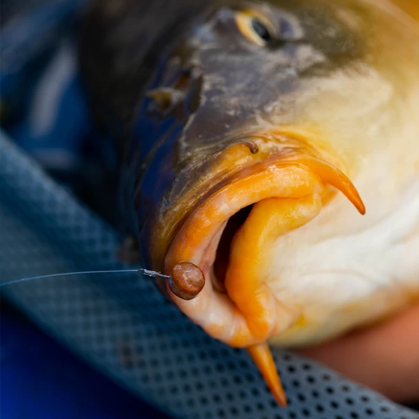 Fjuka Natural 2in1 200gram - Afbeelding 3