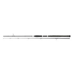 Penn Legion Cat Silver Spin 240cm 40-160g