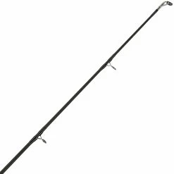 NGT XPR Catfish Rod