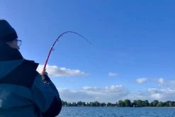 Patriot Pikehound Hyrräkelavapa 239cm <120g