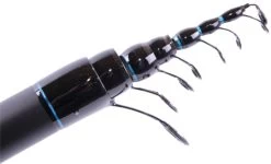 Sensas Bolo Drava - Carpe - 5m