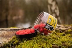 Solar Pop-Ups 14mm Club Mix