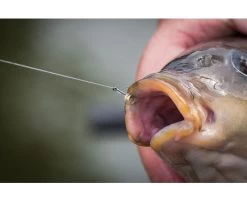 Matrix MXC-6 Barbless Eyed Witvishaken (10st) Maat 14